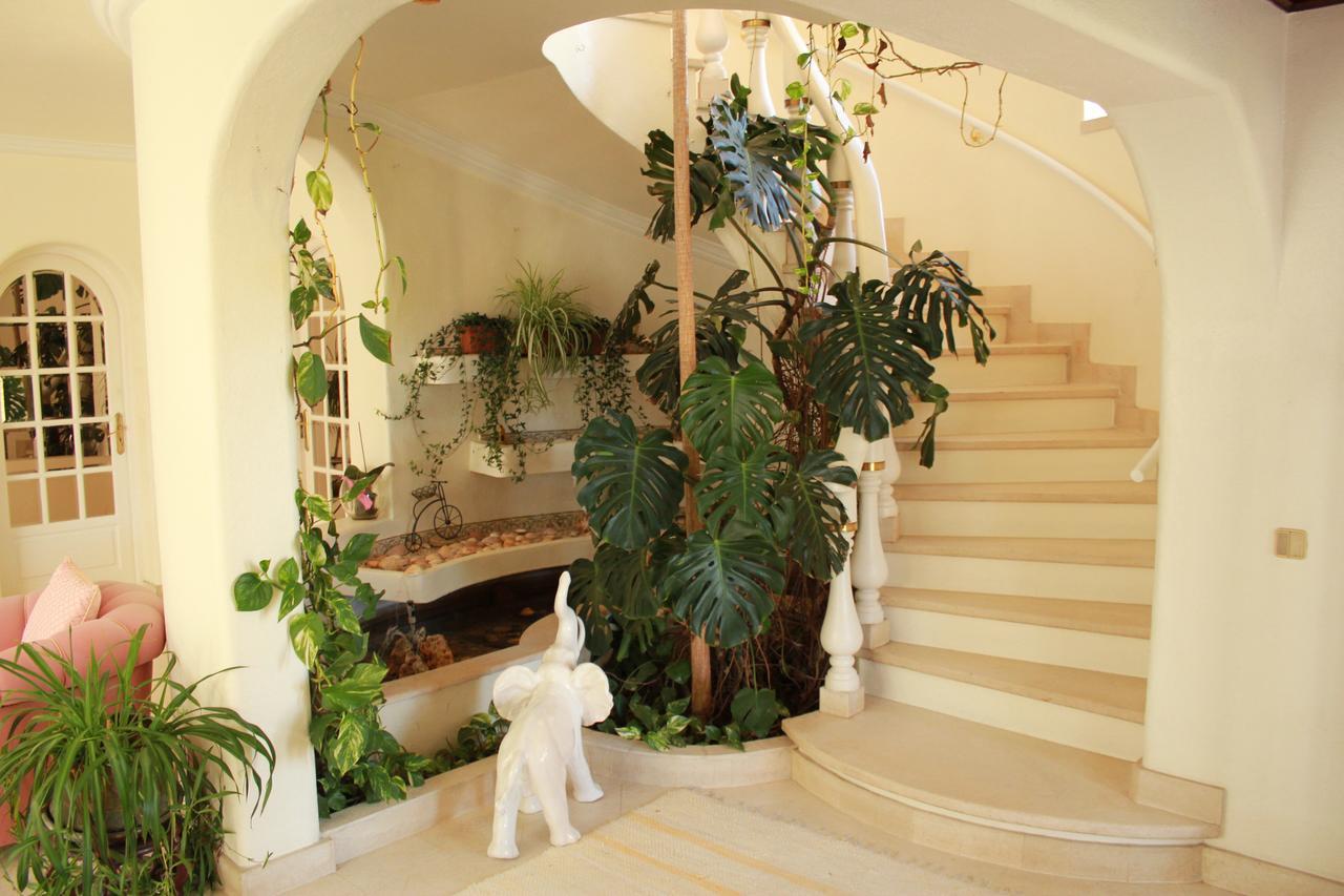 Quinta Dos Oliveiras Bed & Breakfast Carvoeiro  Exterior photo
